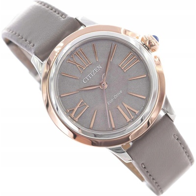 Citizen EM1166-01Z