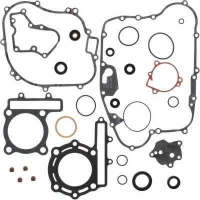 Sada těsnění motoru kompletní vč. gufer motoru WINDEROSA CGKOS 811804