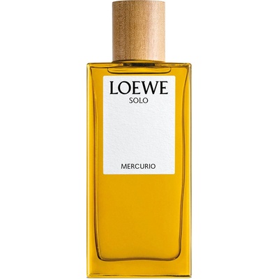 Loewe Solo Mercurio parfémovaná voda pánská 100 ml tester