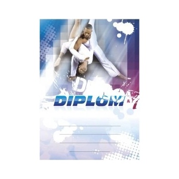 Diplom 6685