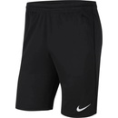 Nike Y NK DF Park20 short KZ db8244 010