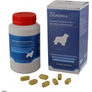 Roboran Chondro 6 pro psy 180 tbl