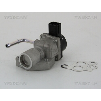 AGR - Ventil TRISCAN 8813 10014
