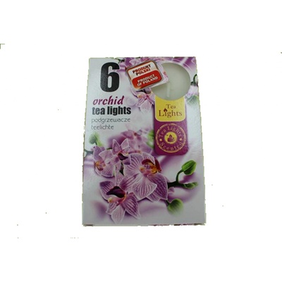 Admit Tea Lights Orchid 6 ks
