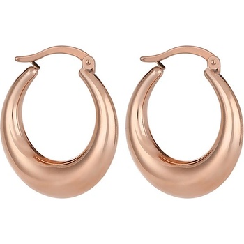 Daniel Klein Дамски обеци Daniel Klein DKJ. 3.5014-3 (DKJ.3.5014-3)