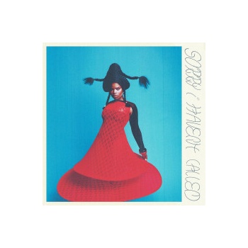 VAGABON - SORRY I HAVEN\'T CALLED CD