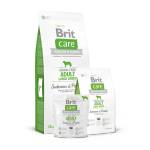 Brit Grain-free Adult Large Breed Salmon & Potato - със сьомга, за едри породи над 24 месеца, 1 кг