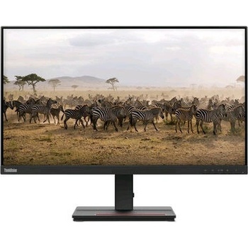 Lenovo ThinkVision E20-30