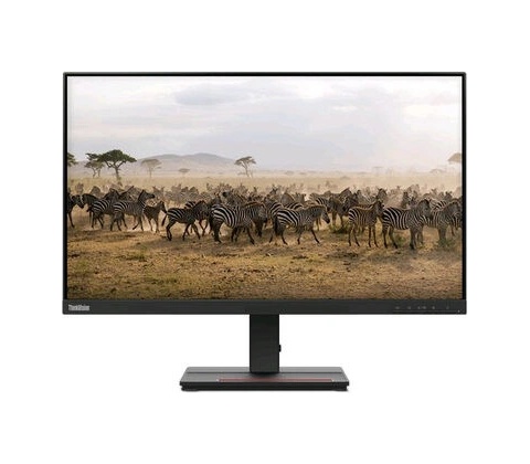 Lenovo ThinkVision E20-30