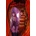 Image Comics Sunstone Volume 3 | Stjepan Sejic