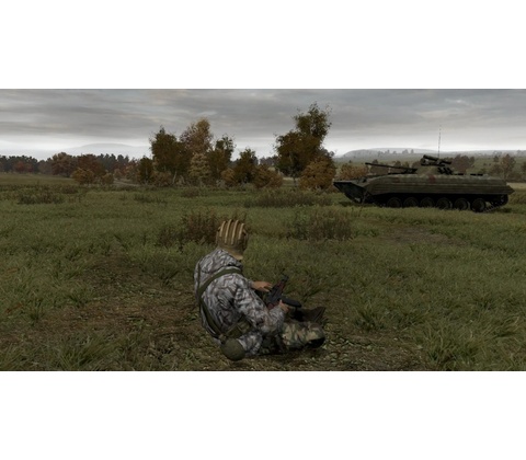 ArmA 2