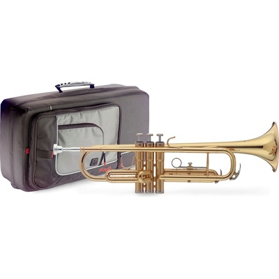 Stagg WS TR215S