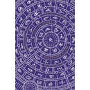 The Mortal Instruments 2: City of Ashes. Collector's Edition