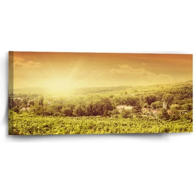 Sablio Obraz Vinohrad - 110x50 cm