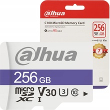 Dahua MicroSDXC Class 10 256 GB TF-C100/256GB