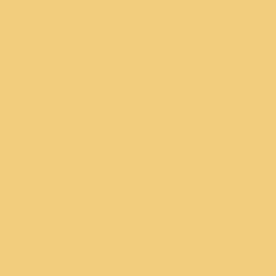 Derwent Watercolour pastelky 5 STRAW YELLOW