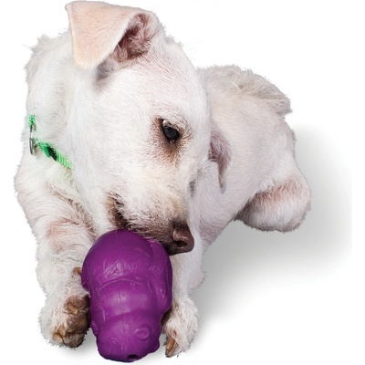 Premier Busy Buddy Squirrel Dude S – Zboží Mobilmania