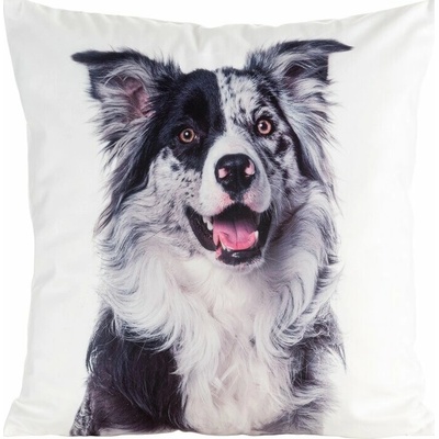 Takoy Velúrová ANIMAL zdobená potlačou psa-HF-464118 45 x 45 cm
