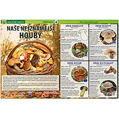 Naše nejznámější houby - Naučné karty – Hledejceny.cz