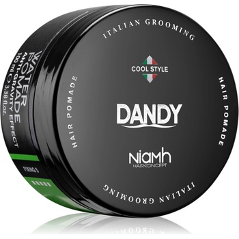 DANDY Water Pomade Anti-Gravity Effect брилянтин за коса със силна фиксация 100ml