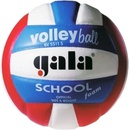 Volejbalové lopty Gala School