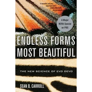 Endless Forms Most Beautiful | Sean B. Carroll (ISBN: 9780393327793)