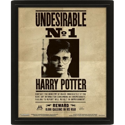Harry Potter: Obraz 3D - Sirius Black