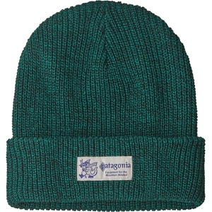 Patagonia Детска зимна шапка (beanie) Patagonia Kid's Logo Beanie - P-6 Logo: Solo Teal - размер One Size (904-4596-0611)