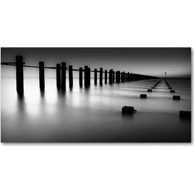 Foto obraz sklenený horizontálny tropické lístím 100x50 cm