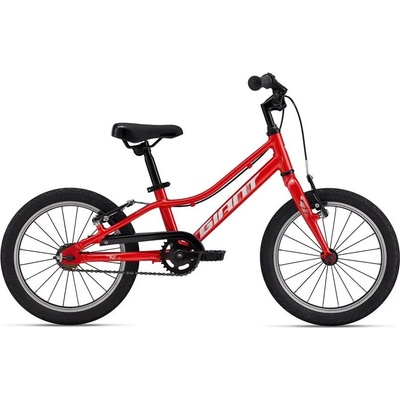 Giant ARX 16 F/W 2024