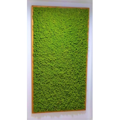 Machový obraz 218cm x 120cm