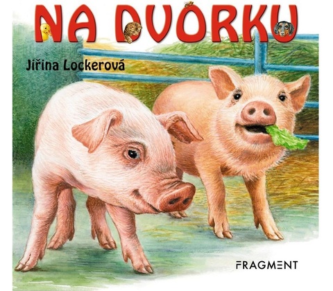 Na dvorku