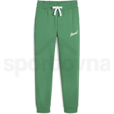 Puma ESS+ Script pants TR W 67935086 archive green