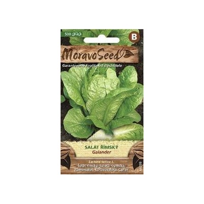 Semínka MoravoSeed Salát římský GALANTER 66399