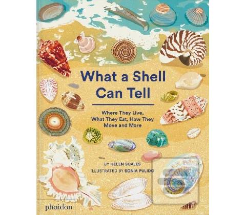 What A Shell Can Tell