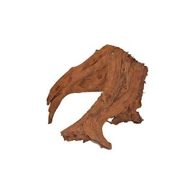 Macenauer kořen Amazonas Root L 25-35 cm
