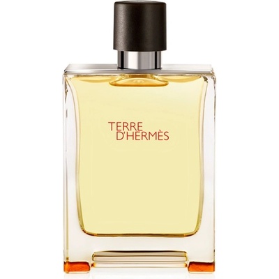 Hermés Terre D'Hermés Pure parfumovaná voda pánska 75 ml