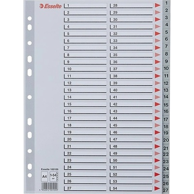 ESSELTE Регистър esselte a/4 пластмаса 1-54 сив 100109 (100109)