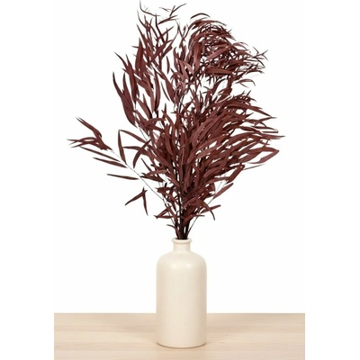 Stabilizovaný eukalyptus globulus (Nicoly), kytice/svazek vínových větvičk 70g