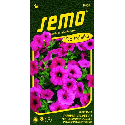 PETÚNKA surfínia Velvet Purple