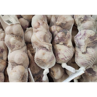 GTEX Obalová síťovina na česnek 4cm x 200m bílá 1447