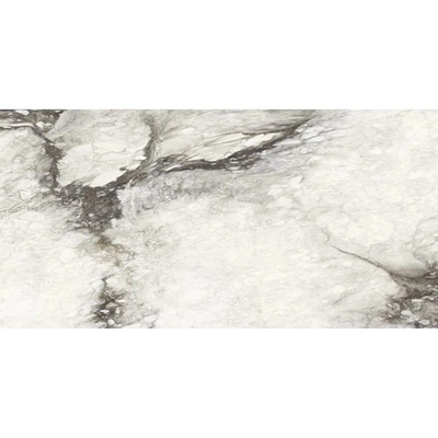 Rex Etoile 60 x 120 cm renoir lesklý 1,44m²