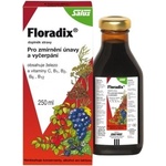 Salus Floradix Železo+ sirup k doplnění železa a zmírnění únavy a vyčerpání 250 ml