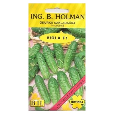 Okurky Holman Okurka nakládačka Viola F1 Holman hruboostná