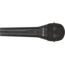 Peavey PVi 2W