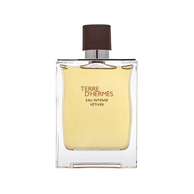 Hermès Terre D'Hermès Eau Intense Vetiver parfémovaná voda pánská 200 ml