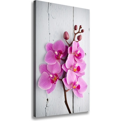 Vertikálny foto obraz na plátne Ružová orchidea 50x100 cm
