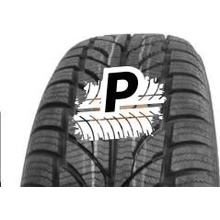 PAXARO Winter 225/45 R17 91H