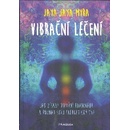 Vibrační léčení