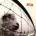 PEARL JAM: VS. -REMAST- LP